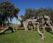 Encina madre en la finca del Romo, Valverde de Leganés